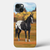 Schöner schwarzer Appaloosa Quarter Pferdehengst Case-Mate iPhone Hülle (Rückseite)
