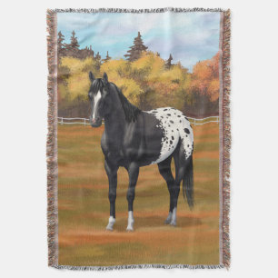 Schöner schwarzer Appaloosa Quarter Pferdehengst Decke