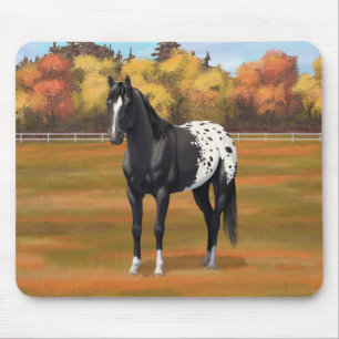 Schöner schwarzer Appaloosa Quarter Pferdehengst Mousepad