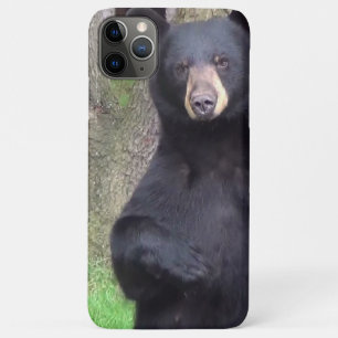 Schöner schwarzer Bär Case-Mate iPhone Hülle