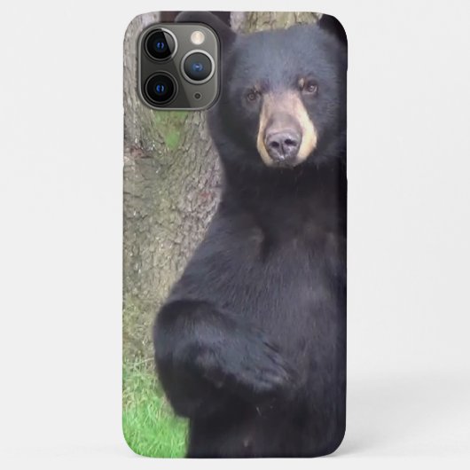 Schöner schwarzer Bär Case-Mate iPhone Hülle (Rückseite)