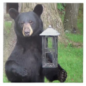 Schöner schwarzer Bär Fliese (Vorderseite)