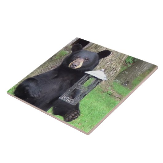 Schöner schwarzer Bär Fliese (Seite)