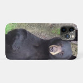 Schöner schwarzer Bär Genießen Sie einen Snack Case-Mate iPhone Hülle (Rückseite (Horizontal))
