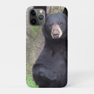 Schöner schwarzer Bär Genießen Sie einen Snack Case-Mate iPhone Hülle