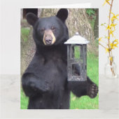 Schöner schwarzer Bär Genießen Sie einen Snack Karte (Gelbe Blume)