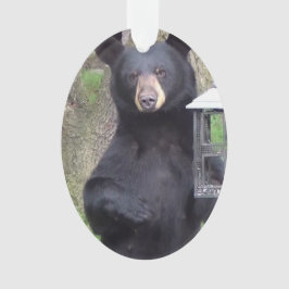 Schöner schwarzer Bär Genießen Sie einen Snack Ornament