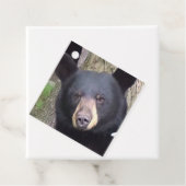 Schöner schwarzer Bär Geschenkanhänger (Beispiel)
