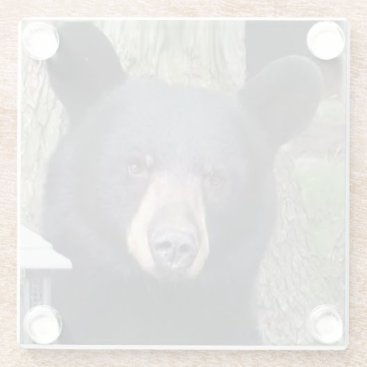 Schöner schwarzer Bär Glasuntersetzer (Rückseite)