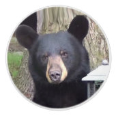 Schöner schwarzer Bär Keramikknauf (Vorderseite)