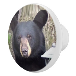 Schöner schwarzer Bär Keramikknauf