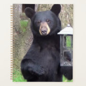 Schöner schwarzer Bär Planer (Vorderseite)