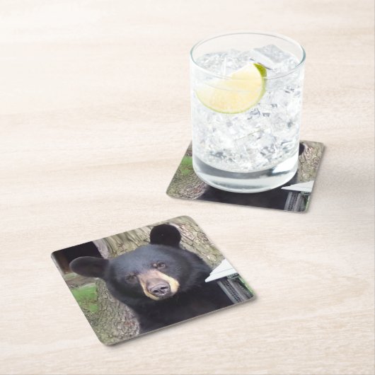 Schöner schwarzer Bär Rechteckiger Pappuntersetzer (Vor Ort)