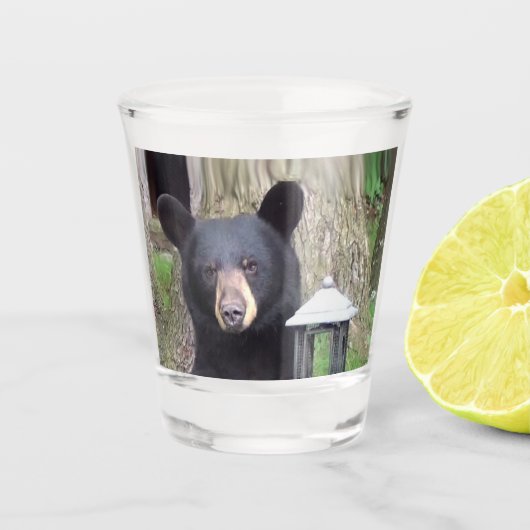 Schöner schwarzer Bär Schnapsglas (Vorderseite)