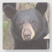 Schöner schwarzer Bär Steinuntersetzer (Vorderseite)