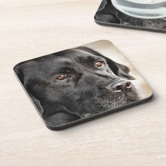 Schöner schwarzer Labrador retriever-Hundeentwurf Untersetzer (Linke Seite)