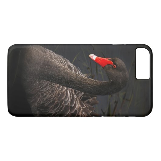 Schöner Schwarzer Schwan mit hellrotem Schnabel Case-Mate iPhone Hülle (Rückseite (Horizontal))