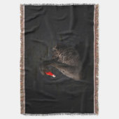 Schöner Schwarzer Schwan mit hellrotem Schnabel Decke (Vorderseite Vertikal)