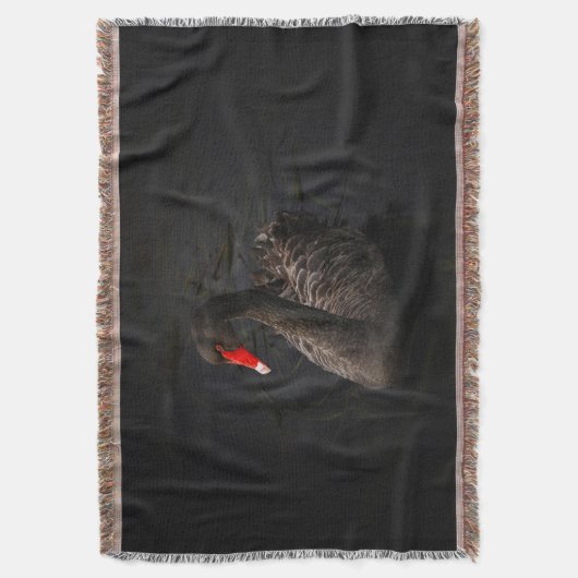 Schöner Schwarzer Schwan mit hellrotem Schnabel Decke (Vorderseite Vertikal)