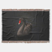 Schöner Schwarzer Schwan mit hellrotem Schnabel Decke (Vorderseite)