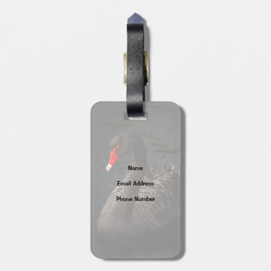 Schöner Schwarzer Schwan mit hellrotem Schnabel Gepäckanhänger (Rückseite vertikal)