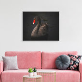 Schöner Schwarzer Schwan mit hellrotem Schnabel Leinwanddruck (Insitu (Wohnzimmer))