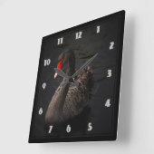 Schöner Schwarzer Schwan mit hellrotem Schnabel Quadratische Wanduhr (Winkel)
