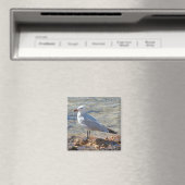 Schöner Seagull am Meer - Magnet (In Situ (Geschirrspüler))