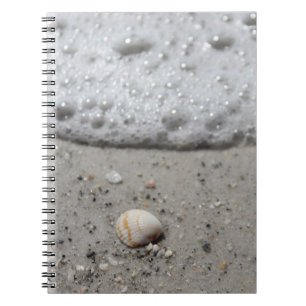 Schöner Seashell auf dem Strandnotizbuch Notizblock