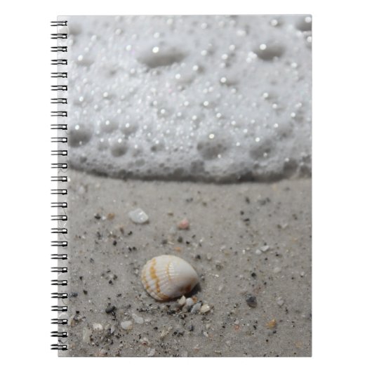 Schöner Seashell auf dem Strandnotizbuch Notizblock (Vorderseite)