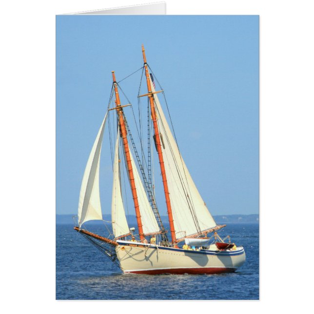 Schoner segeln (Vorne)