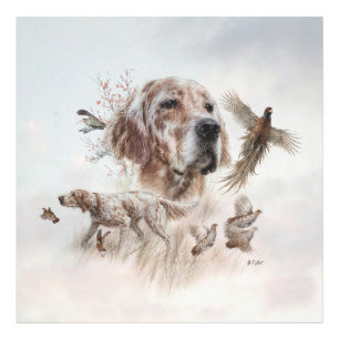 Schöner Setter, Kunst Fotodruck