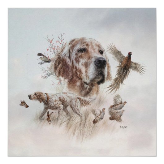 Schöner Setter, Kunst Poster (Vorderseite)