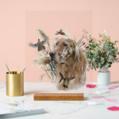 Schöner Setter mit Fasanen, Kunst Acrylschild (Hochzeit)