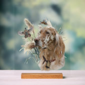 Schöner Setter mit Fasanen, Kunst Acrylschild (Neutral)