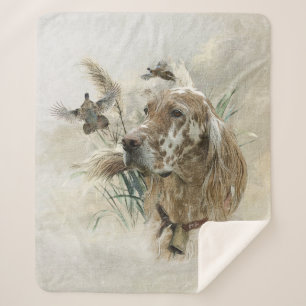Schöner Setter mit Fasanen, Kunst Sherpadecke