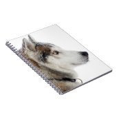 Schöner sibirischer Husky im Schnee Notizblock (Rechte Seite)