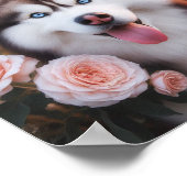 schöner sibirischer Husky mit krummen Augen Poster (Ecke)
