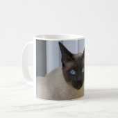 Schöner Siegel-Punkt-siamesische Katze Kaffeetasse (Vorderseite Links)
