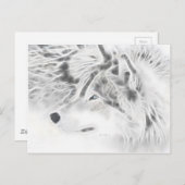 Schöner SilberWolf Postkarte (Vorne/Hinten)