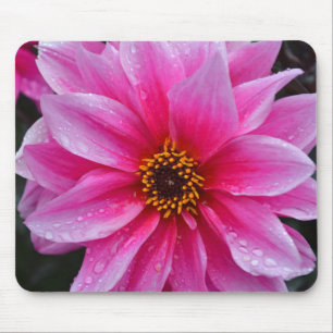 Schöner Single Rosa Dahlia Blume Mousepad