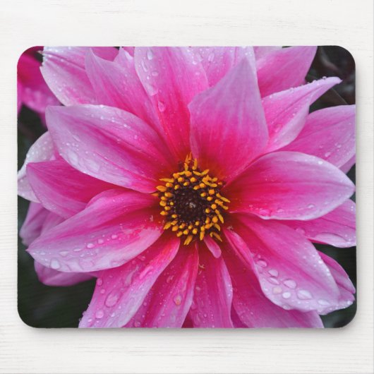 Schöner Single Rosa Dahlia Blume Mousepad (Vorne)