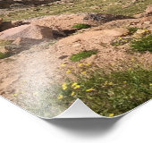Schöner Sommermorgen über der Baumgrenze Fotodruck (Ecke)