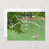 Schöner Sommersee mit Enten. Postkarte (Vorne/Hinten)