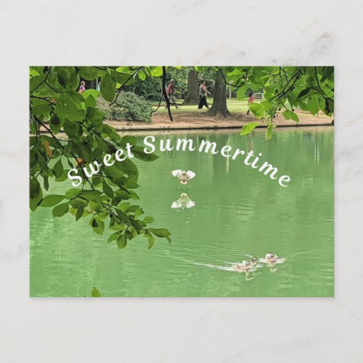 Schöner Sommersee mit Enten. Postkarte (Vorderseite)