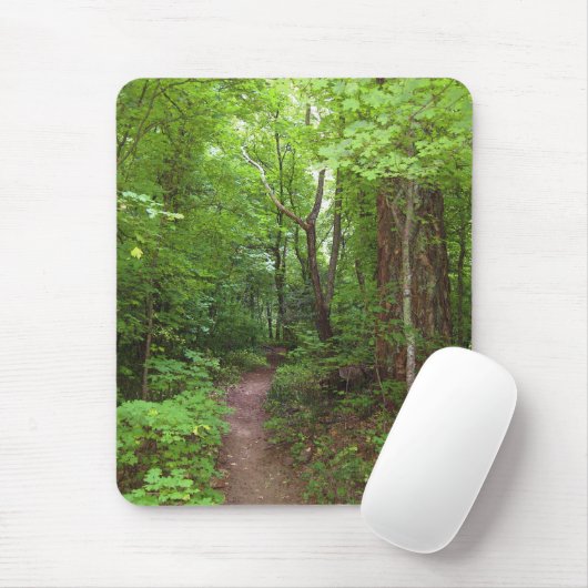 Schöner Sommerwald (3 Mousepads) Mousepad (Mit Mouse)