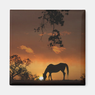 Schöner Sonnenaufgang mit Pferd Magnet
