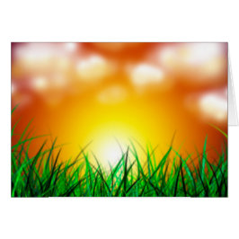 Schöner Sonnenaufgang über einem Grasfeld