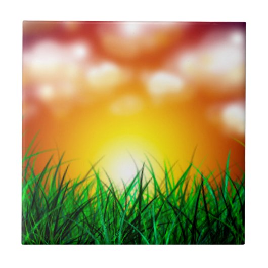 Schöner Sonnenaufgang über einem Grasfeld Fliese (Vorderseite)
