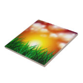 Schöner Sonnenaufgang über einem Grasfeld Fliese (Seite)